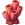 Шматок коралу